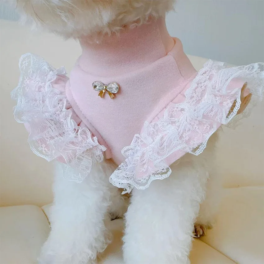 Lace Teddy Lingerie - Vêtements pour animaux de compagnie automne